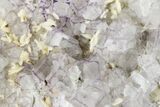 Purple Edge Fluorite Crystal Cluster - Qinglong Mine, China #186903-1